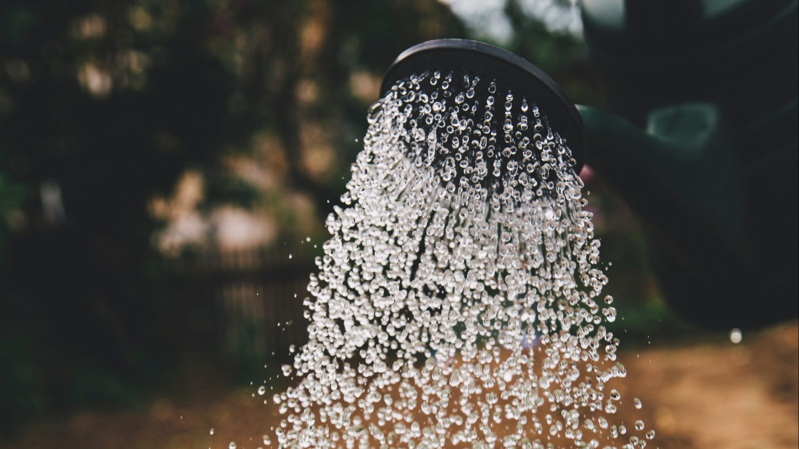 markus-spiske-sFydXGrt5OA-unsplash-e1613650928693