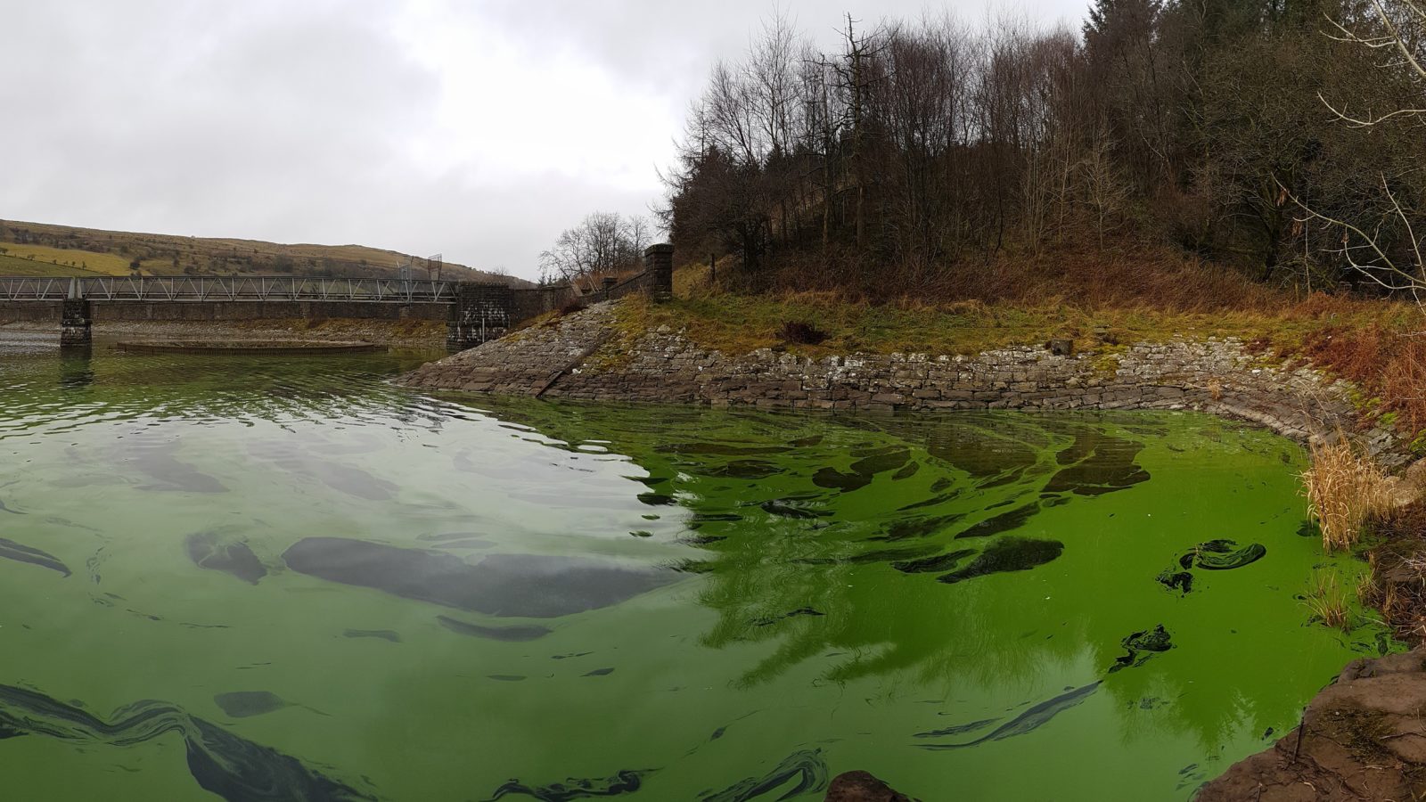 Reservoir-water-20161219_111210-01