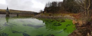 Reservoir-water-20161219_111210-01