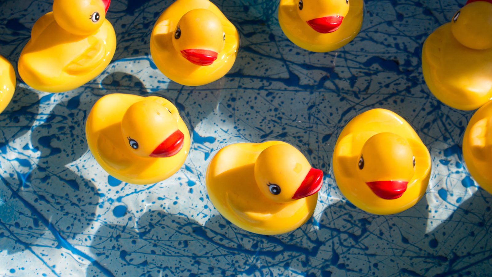Six-tips-blog-jason-richard-VTvnoNBowZs-unsplash