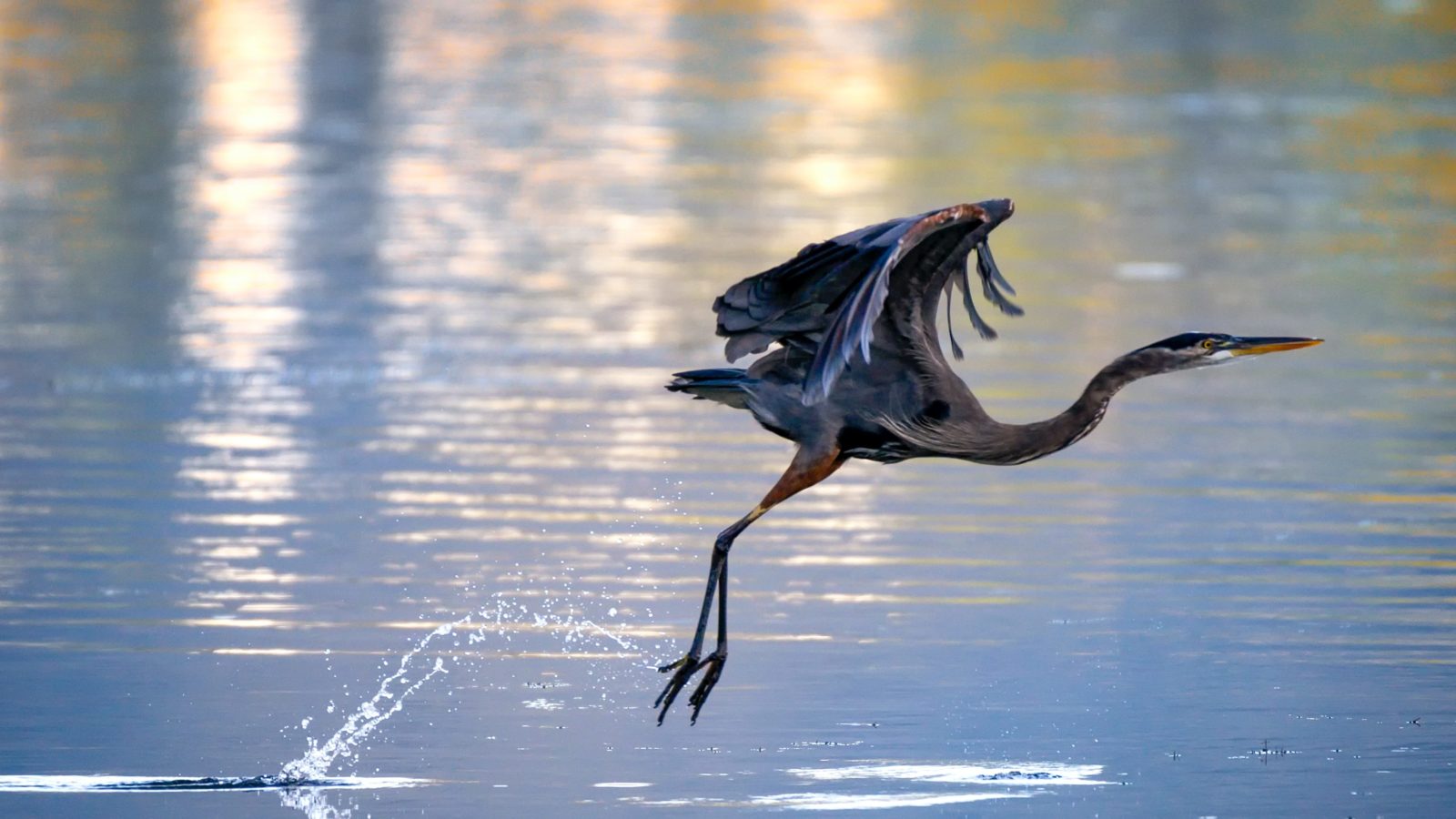 Breakthrough-1-Winners-pexels-frank-cone-2985018-e1632933293904