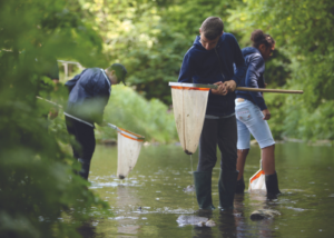 Young citizen scientists stand in a stream with nets