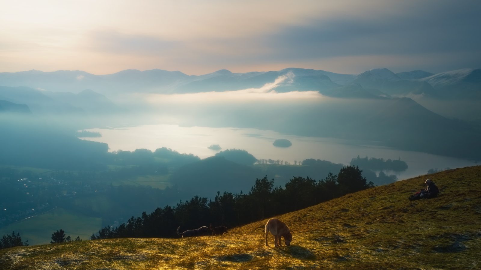 ian-cylkowski-DAYsCkJmJ5k-unsplash-1