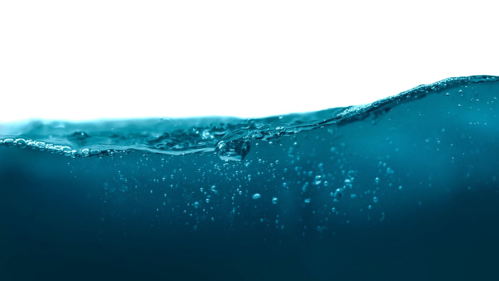 daniel-sinoca-AANCLsb0sU0-unsplash