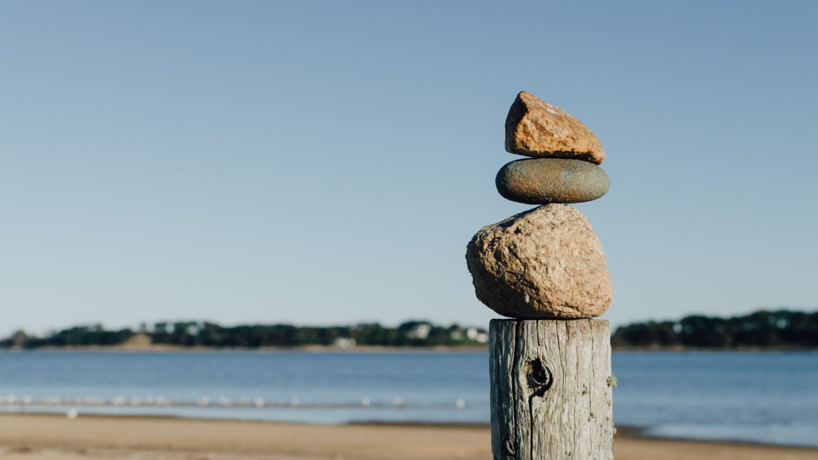 kelly-sikkema-kxtB2TFBF2g-unsplash