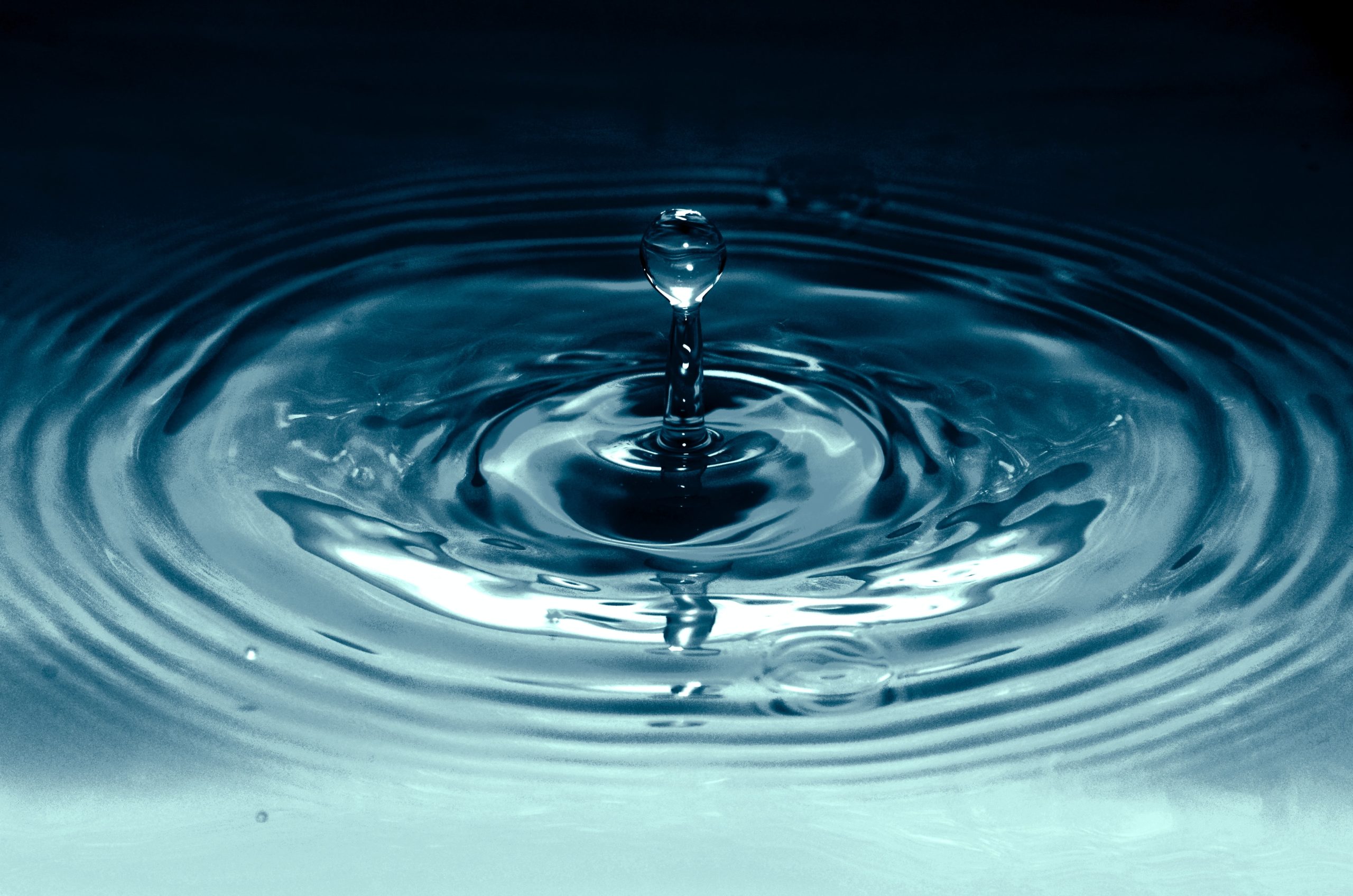 Breakthrough-webinar-terry-vlisidis-SFEvfN01-ao-unsplash