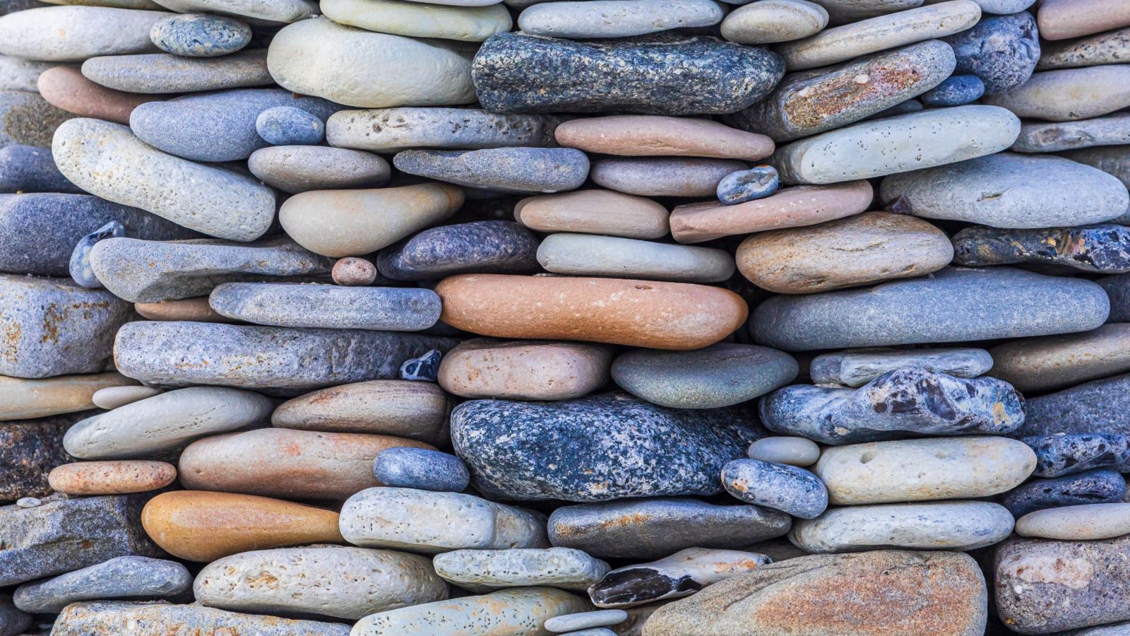zdenek-machacek-VN1YlrnHcq8-unsplash