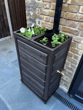 CCRM planter 1