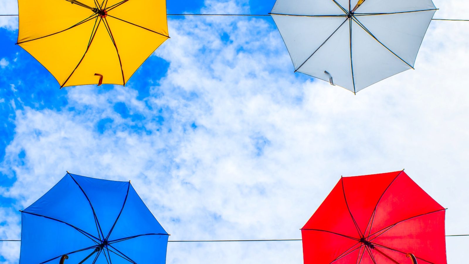 IWC-case-study-3-artem-kniaz-x1Qw2gCPMUU-unsplash-square-scaled