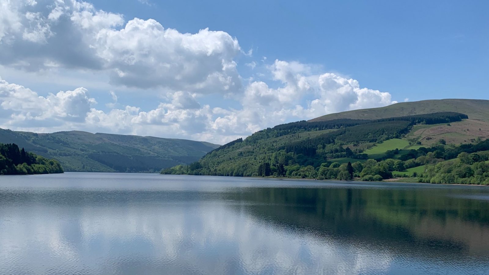 jeff-greenidge-5uyU__KBYzs-unsplash-square-scaled