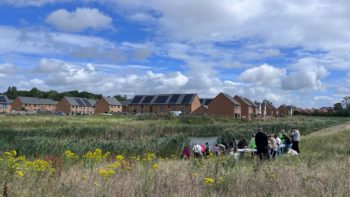 pond dipping June 23