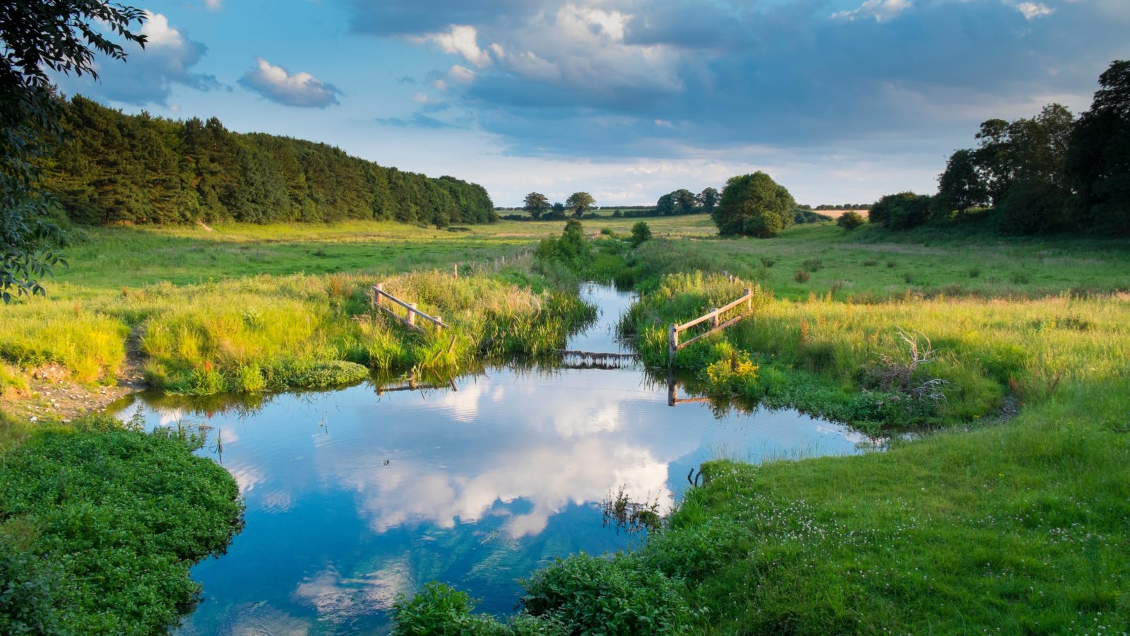 View of the River Stiffkey, Warham Village, Norfolk, England, July.