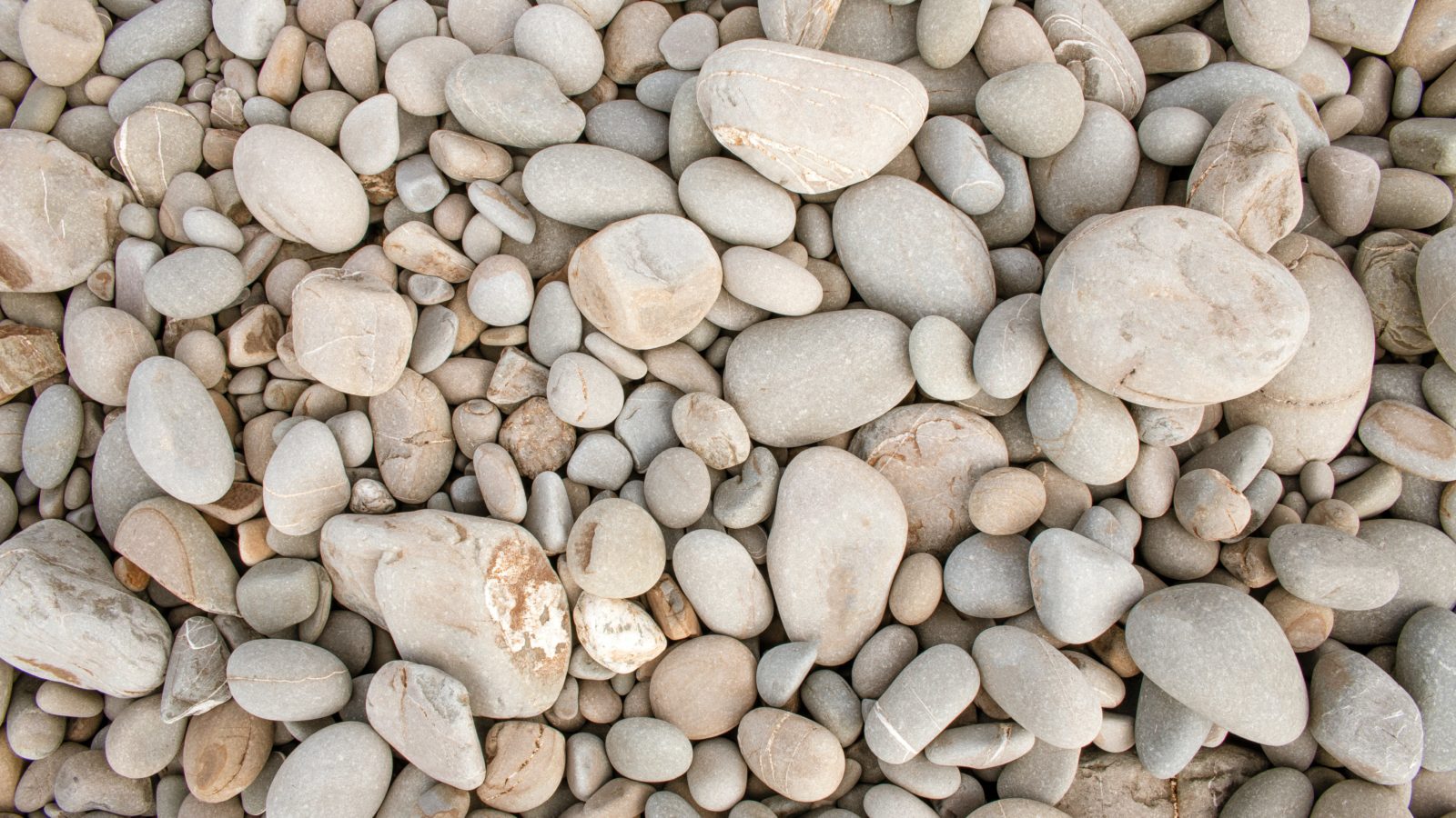 Pebbles | Water Discovery Challenge