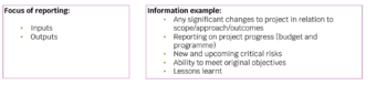 Bi-annual report info examples