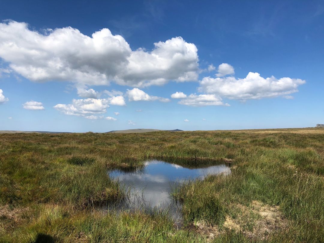 Catalyst_Water-Net-Gain_South-West-Water_Pond_peatland_Dartmoor_1