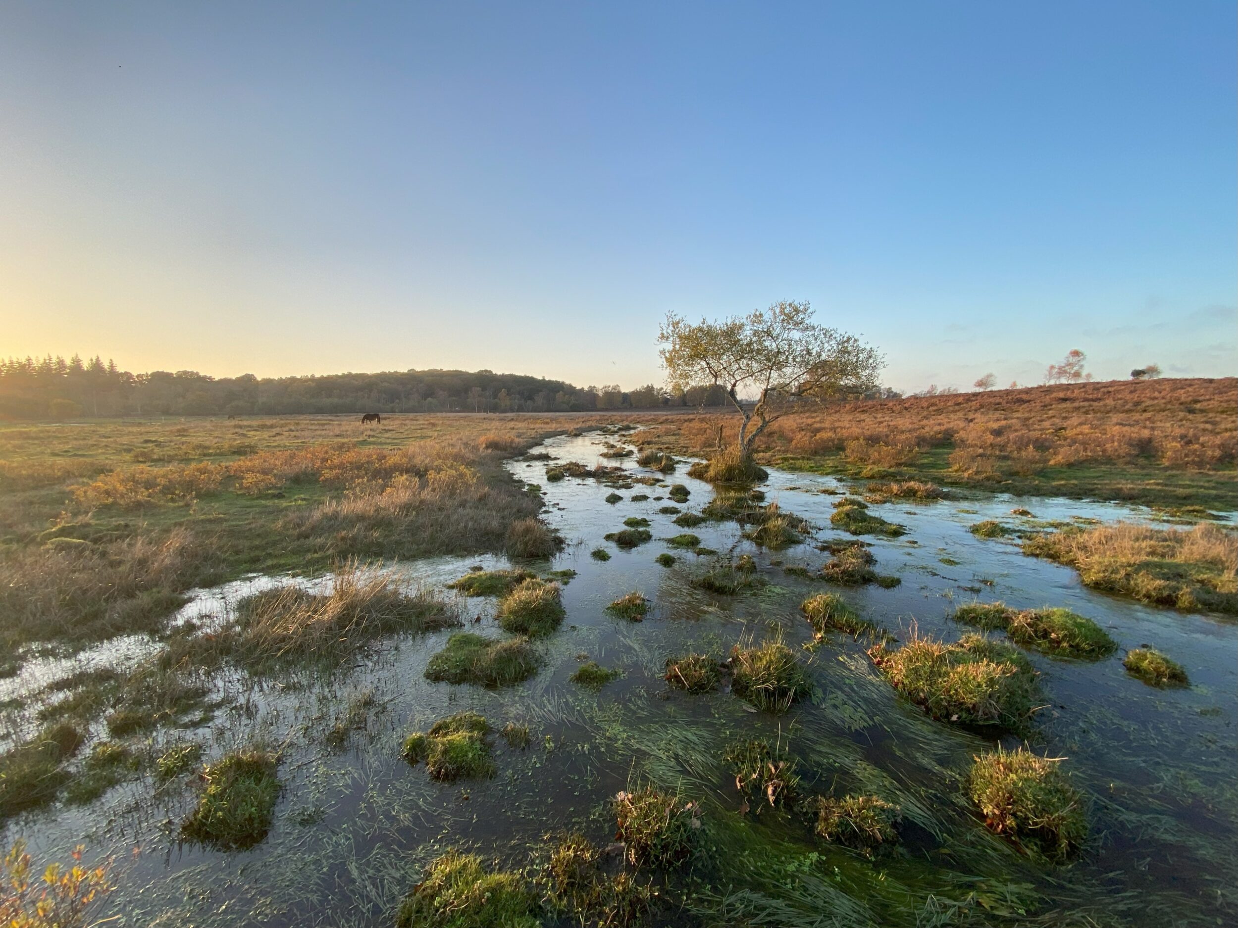 Headstart: Unlocking the value of headwater catchments - Water ...